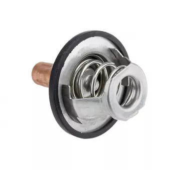 Thermostat d'eau TEKNÖR CTM-RE-011