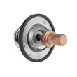 Thermostat d'eau TEKNÖR CTM-RE-011 - Visuel 2