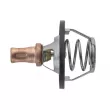 Thermostat d'eau TEKNÖR CTM-RE-011 - Visuel 3