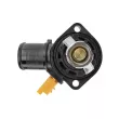 Thermostat d'eau TEKNÖR CTM-CT-011 - Visuel 3