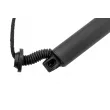 Moteur électrique, hayon arrière droit TEKNÖR AE-VV-041 - Visuel 2