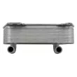 Radiateur d'huile de boîte automatique TEKNÖR CCL-VW-034 - Visuel 3