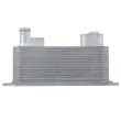 Radiateur d'huile TEKNÖR CCL-AU-050 - Visuel 3
