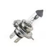 Ampoule, projecteur longue portée TEKNÖR EZ-H412V - Visuel 1
