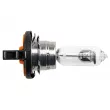 Ampoule, projecteur longue portée TEKNÖR EZ-H15 - Visuel 3