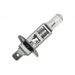 Ampoule, projecteur longue portée TEKNÖR EZ-H1 - Visuel 1