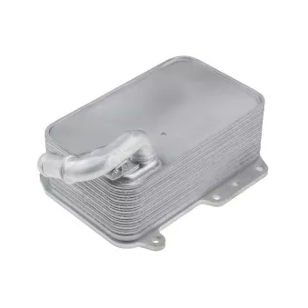 Radiateur d'huile TEKNÖR CCL-AU-058