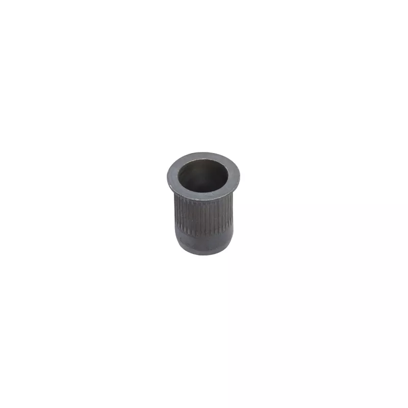 Clip, enjoliveur RESTAGRAF 10846