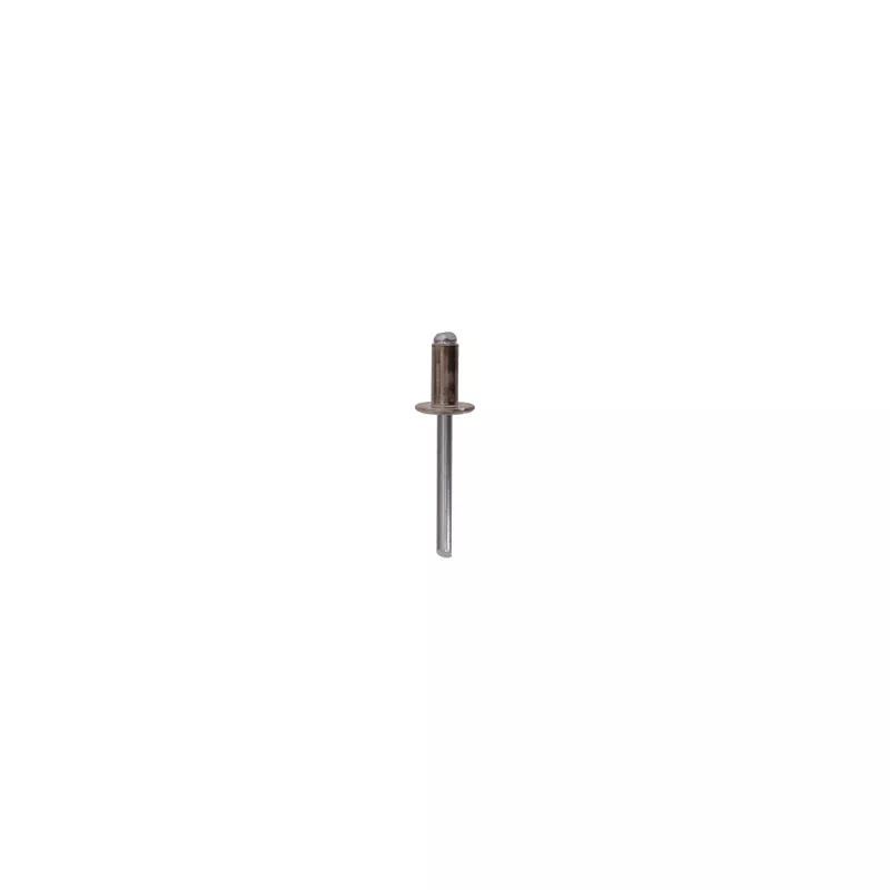 Clip, enjoliveur RESTAGRAF 11540