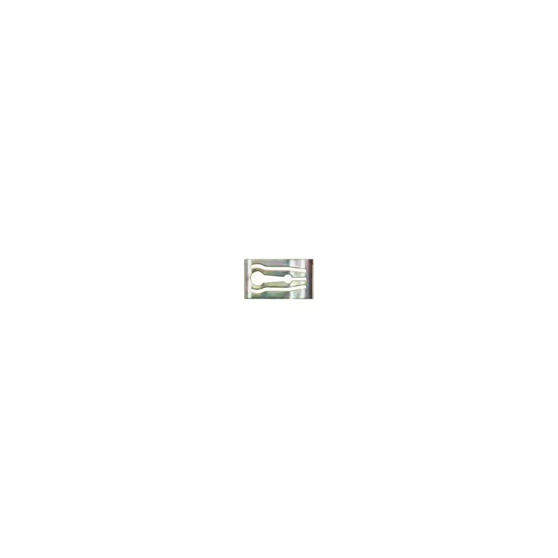 Clip, enjoliveur RESTAGRAF 1160