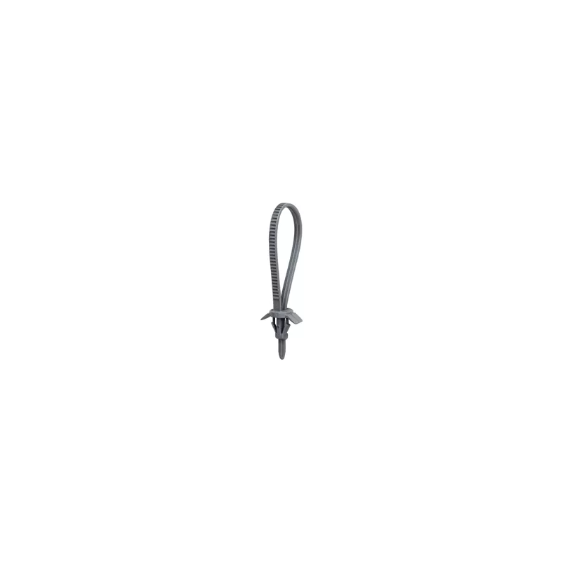 Clip, enjoliveur RESTAGRAF 1495