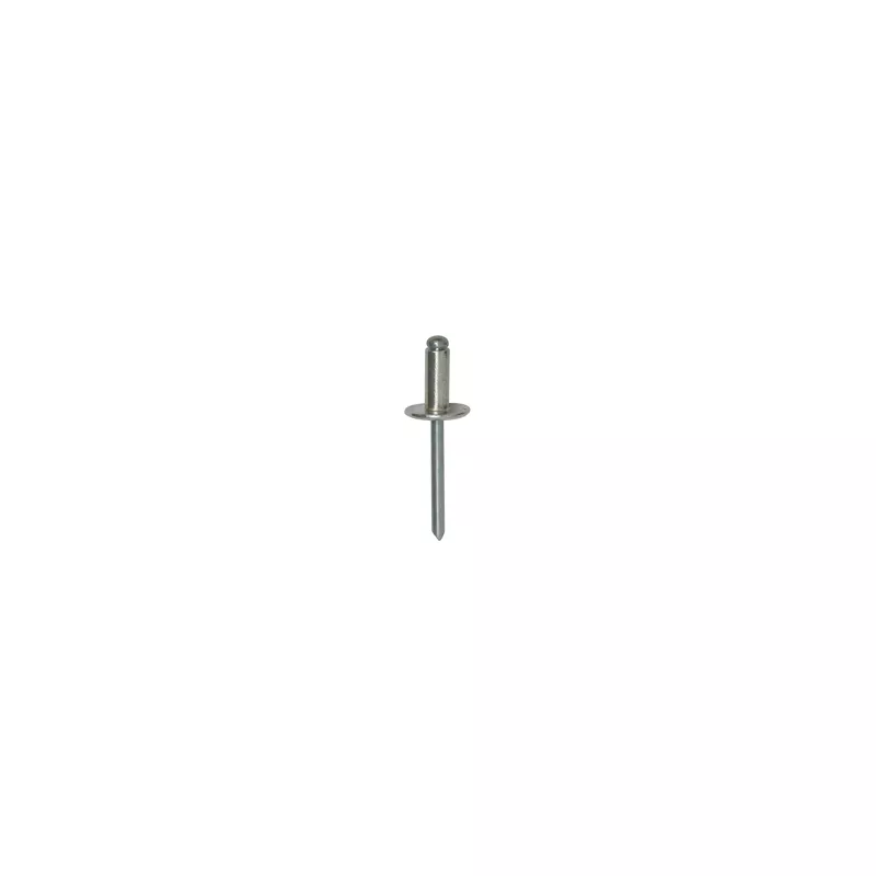 Clip, enjoliveur RESTAGRAF 228460
