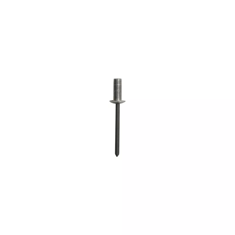 Clip, enjoliveur RESTAGRAF 4161