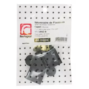 Kit de clip de fixation, carrosserie RESTAGRAF