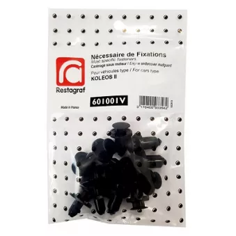 Kit de clip de fixation, carrosserie RESTAGRAF