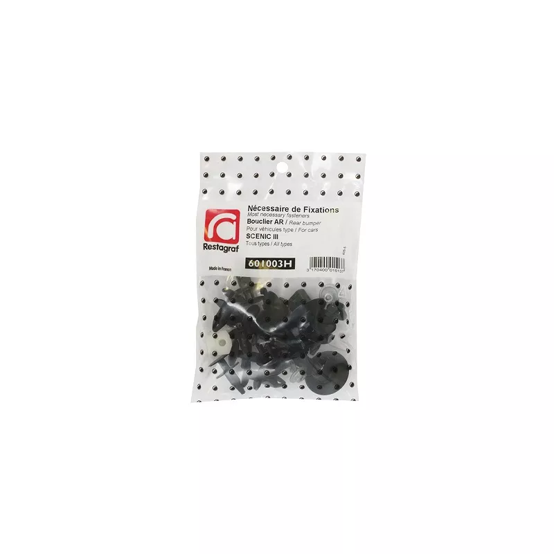 Kit de clip de fixation, carrosserie RESTAGRAF 601003H