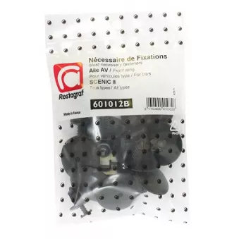 Kit de clip de fixation, carrosserie RESTAGRAF