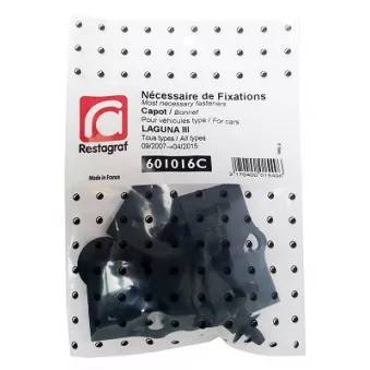 Kit de clip de fixation, carrosserie RESTAGRAF