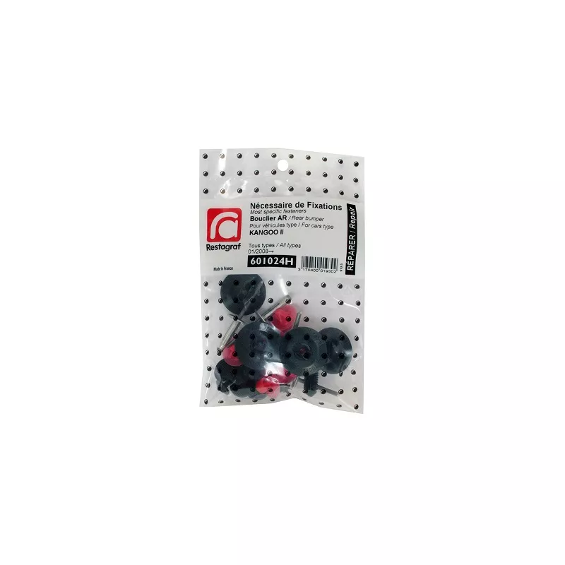 Kit de clip de fixation, carrosserie RESTAGRAF 601024H