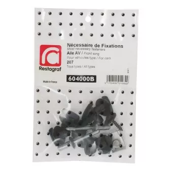 Kit de clip de fixation, carrosserie RESTAGRAF 604000B