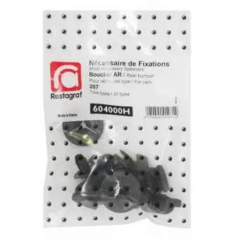Kit de clip de fixation, carrosserie RESTAGRAF 604000H