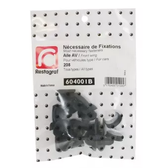 Kit de clip de fixation, carrosserie RESTAGRAF 604001B