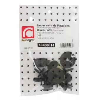 Kit de clip de fixation, carrosserie RESTAGRAF 604001H