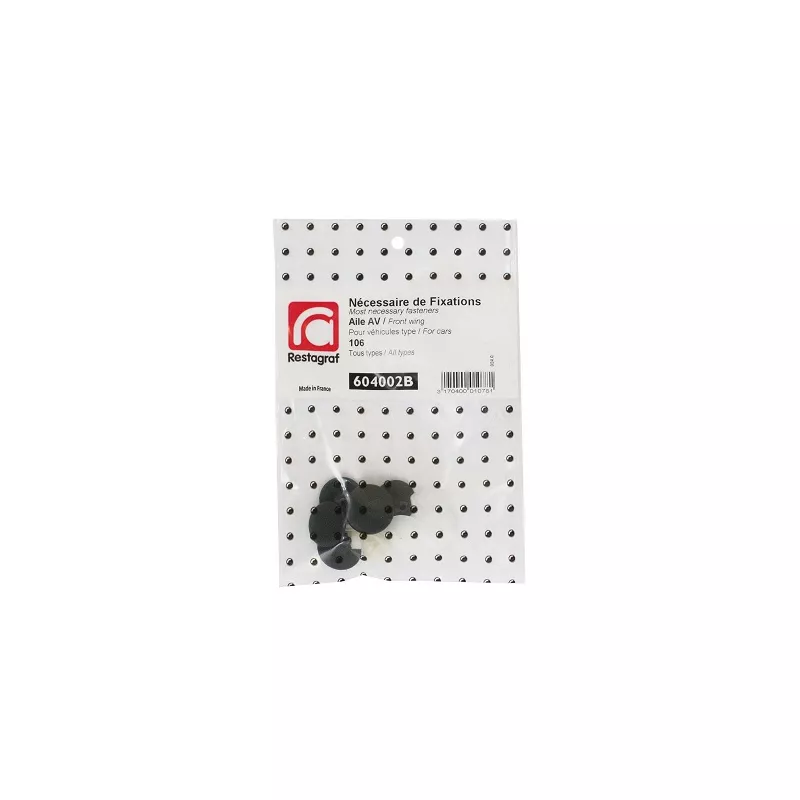 Kit de clip de fixation, carrosserie RESTAGRAF 604002B