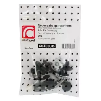 Kit de clip de fixation, carrosserie RESTAGRAF 604003B
