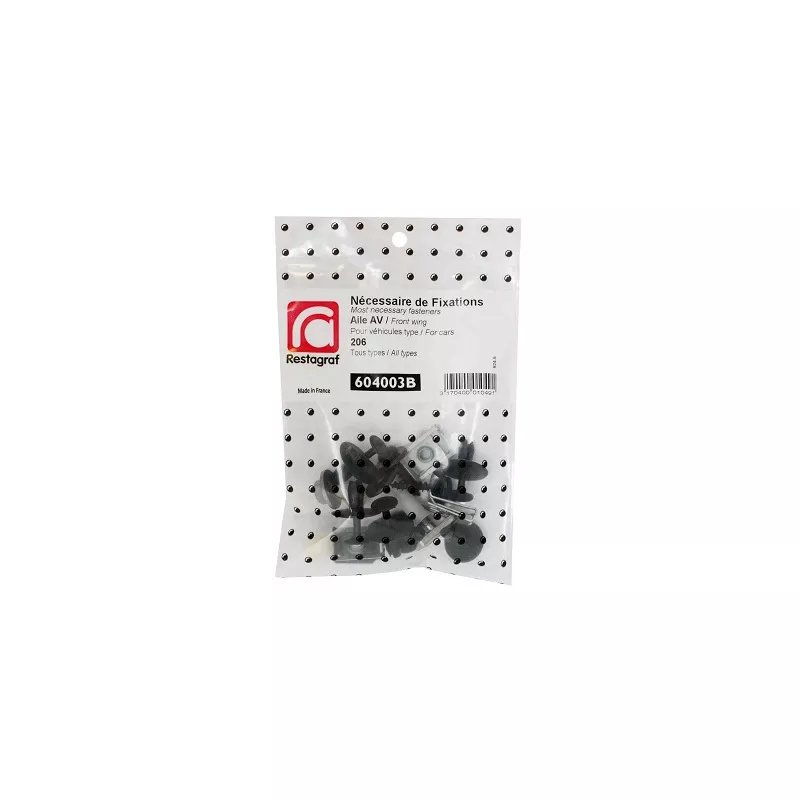 Kit de clip de fixation, carrosserie RESTAGRAF 604003B