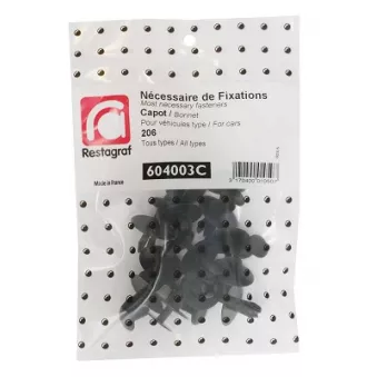 Kit de clip de fixation, carrosserie RESTAGRAF 604003C