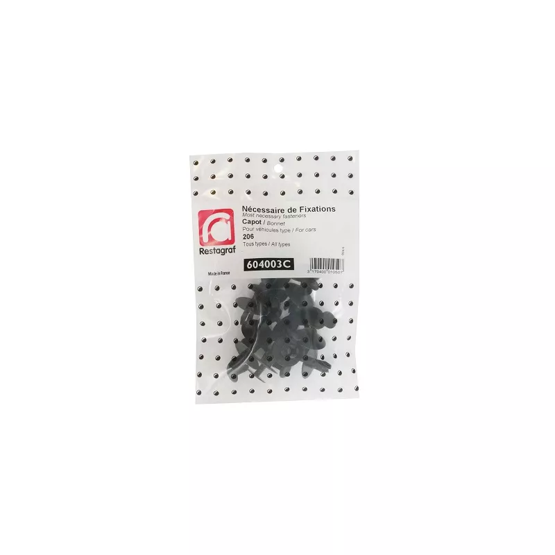 Kit de clip de fixation, carrosserie RESTAGRAF 604003C
