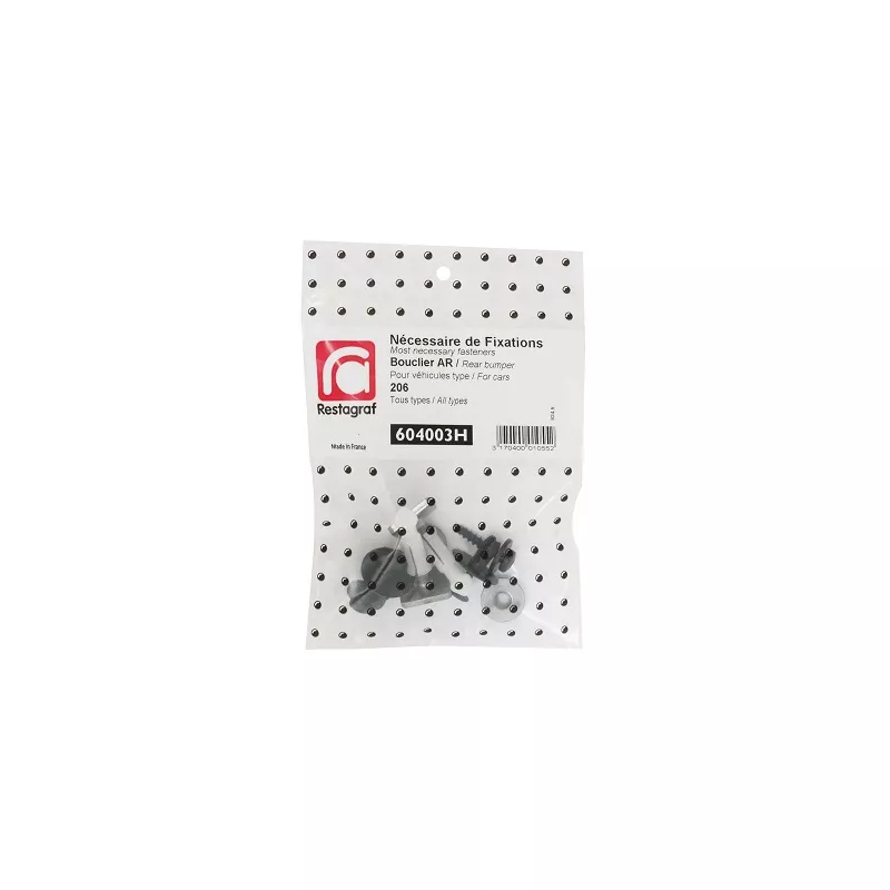Kit de clip de fixation, carrosserie RESTAGRAF 604003H