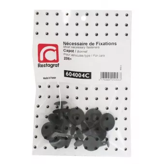 Kit de clip de fixation, carrosserie RESTAGRAF 604004C
