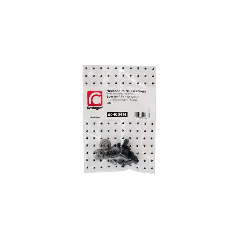 Kit de clip de fixation, carrosserie RESTAGRAF 604004H
