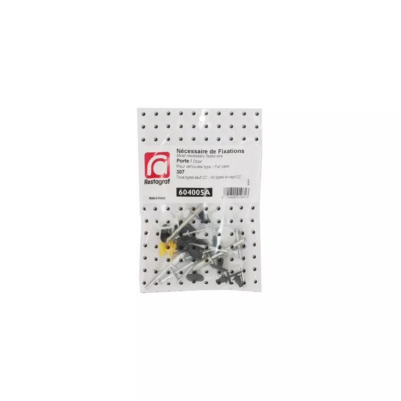 Kit de clip de fixation, carrosserie RESTAGRAF 604005A