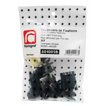 Kit de clip de fixation, carrosserie RESTAGRAF 604005B