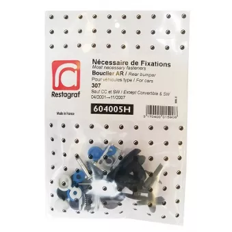 Kit de clip de fixation, carrosserie RESTAGRAF 604005H