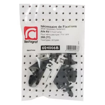 Kit de clip de fixation, carrosserie RESTAGRAF 604006B