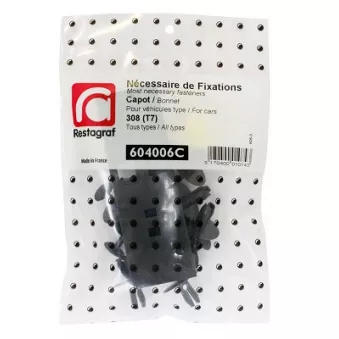 Kit de clip de fixation, carrosserie RESTAGRAF 604006C