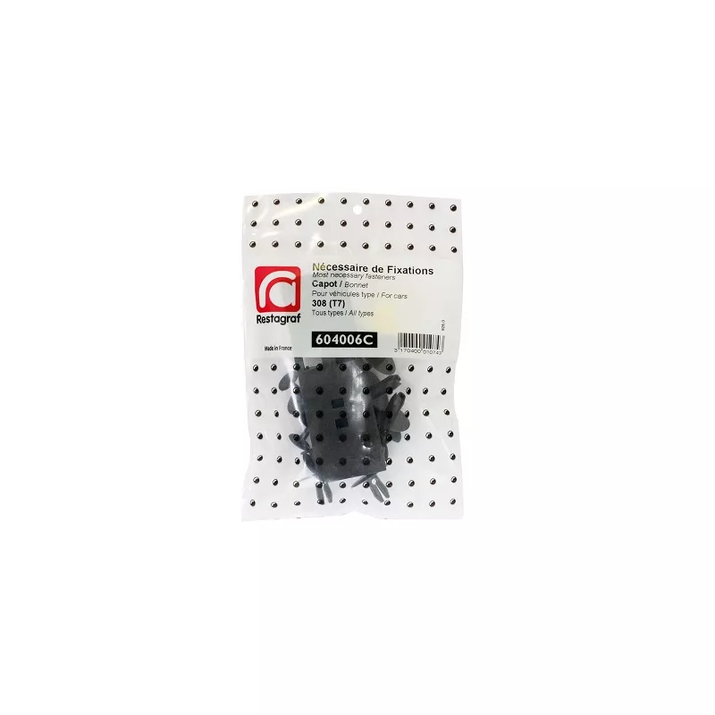 Kit de clip de fixation, carrosserie RESTAGRAF 604006C