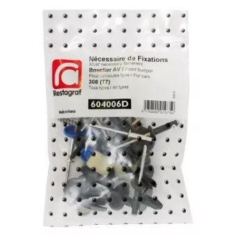 Kit de clip de fixation, carrosserie RESTAGRAF 604006D