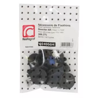 Kit de clip de fixation, carrosserie RESTAGRAF 604006H