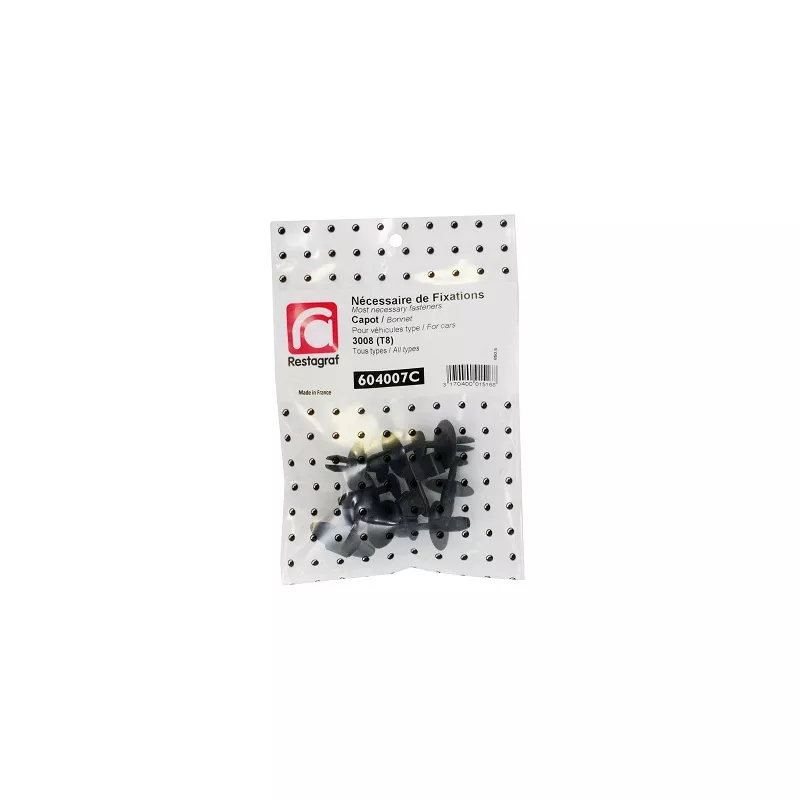 Kit de clip de fixation, carrosserie RESTAGRAF 604007C