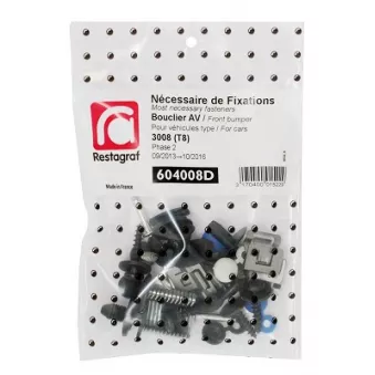 Kit de clip de fixation, carrosserie RESTAGRAF 604008D