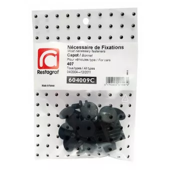 Kit de clip de fixation, carrosserie RESTAGRAF