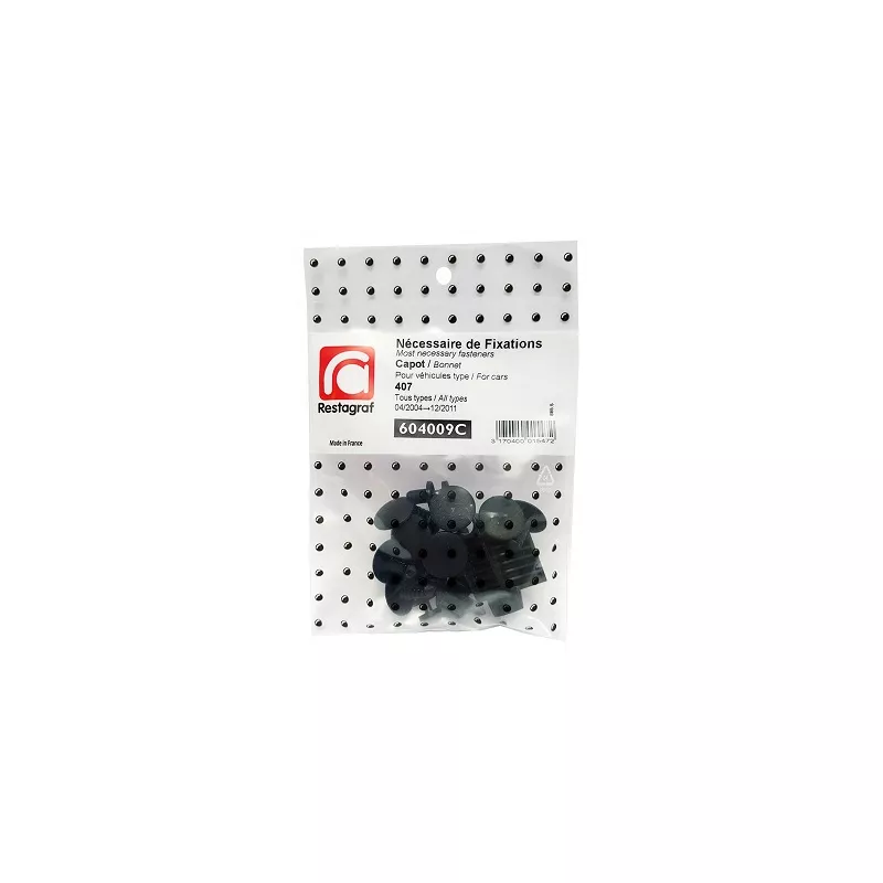 Kit de clip de fixation, carrosserie RESTAGRAF 604009C