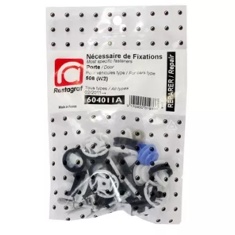 Kit de clip de fixation, carrosserie RESTAGRAF 604011A