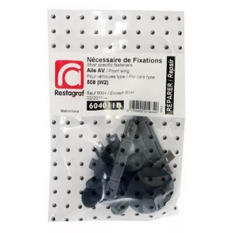 Kit de clip de fixation, carrosserie RESTAGRAF 604011B