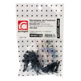 Kit de clip de fixation, carrosserie RESTAGRAF 604012D